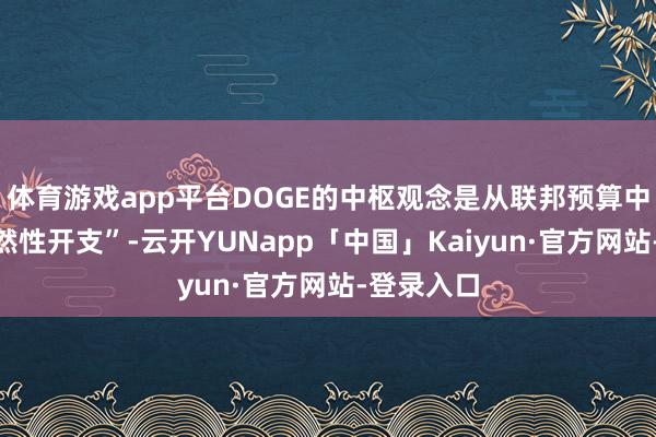 体育游戏app平台DOGE的中枢观念是从联邦预算中削减“徒然性开支”-云开YUNapp「中国」Kaiyun·官方网站-登录入口