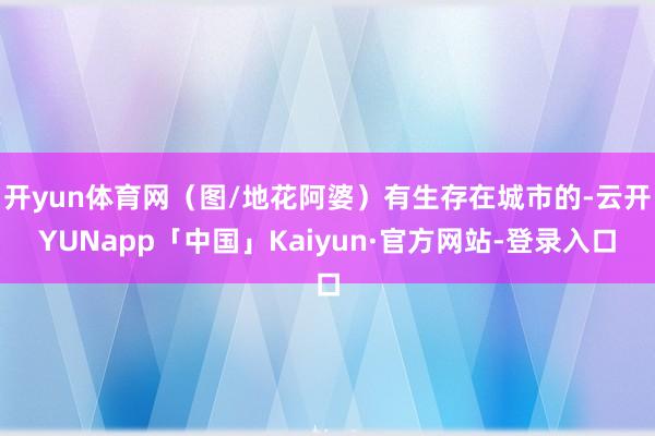 开yun体育网（图/地花阿婆）有生存在城市的-云开YUNapp「中国」Kaiyun·官方网站-登录入口