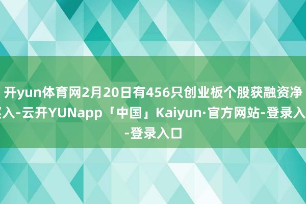 开yun体育网2月20日有456只创业板个股获融资净买入-云开YUNapp「中国」Kaiyun·官方网站-登录入口
