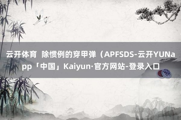 云开体育  除惯例的穿甲弹（APFSDS-云开YUNapp「中国」Kaiyun·官方网站-登录入口